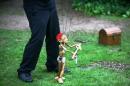 Petites Fables 19 * 4368 x 2912 * (5.37MB)